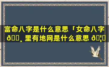 富命八字是什么意思「女命八字 🌸 里有地网是什么意思 🦉 」